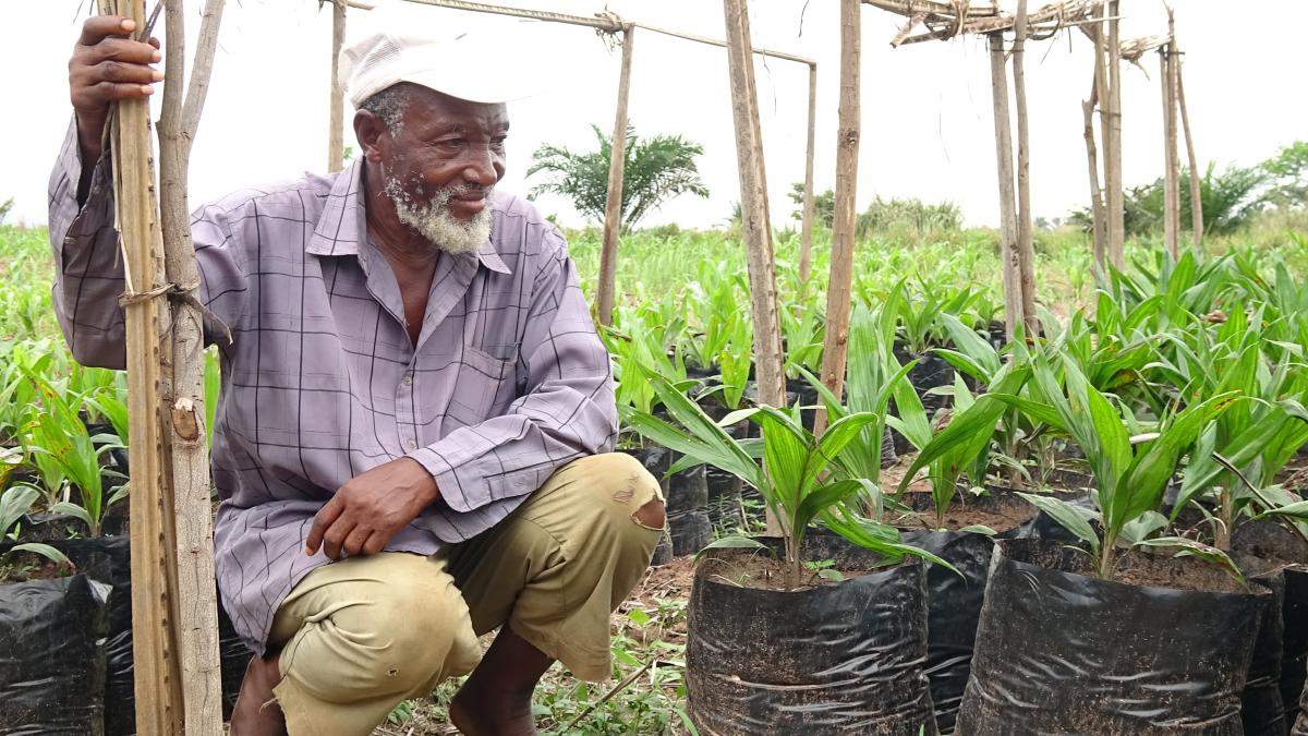  Synthèse de l’Étude de faisabilité pour la mise en valeur d’un périmètre agricole dans le Grand Kasaï